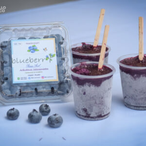 HELADOS DE ARANDANOS