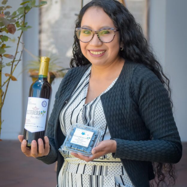 BLUEBERRY REINO AZUL