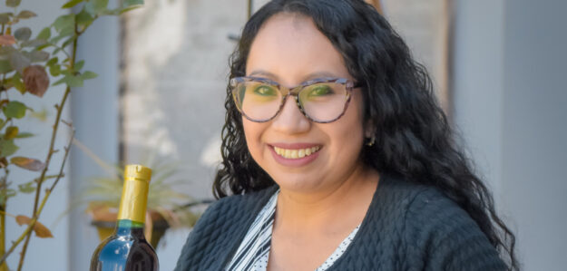 BLUEBERRY REINO AZUL