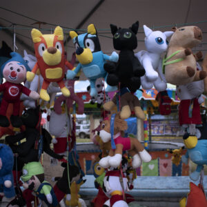 PELECHES VARIOS DISEÑOS